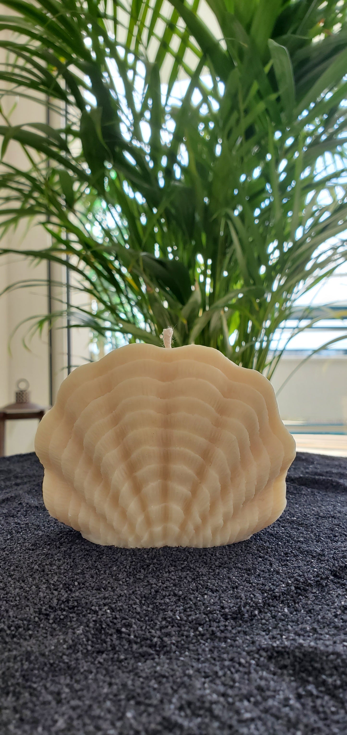 Pūpū
